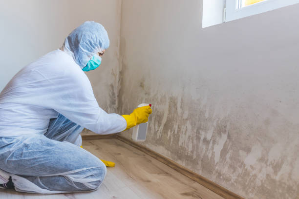 Mold Remediation specialist working in La Grange